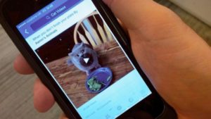 Facebook video's