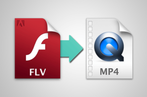 mp4 vs flv